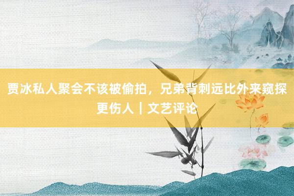 贾冰私人聚会不该被偷拍，兄弟背刺远比外来窥探更伤人｜文艺评论