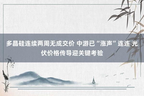 多晶硅连续两周无成交价 中游已“涨声”连连 光伏价格传导迎关键考验