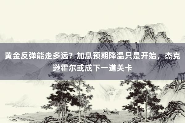 黄金反弹能走多远？加息预期降温只是开始，杰克逊霍尔或成下一道关卡