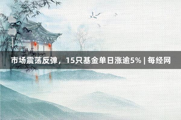 市场震荡反弹，15只基金单日涨逾5% | 每经网
