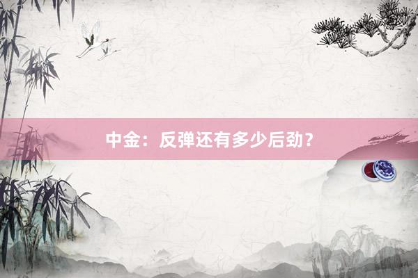 中金：反弹还有多少后劲？