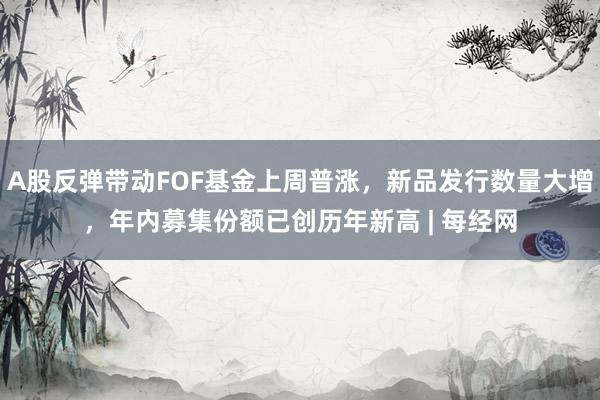 A股反弹带动FOF基金上周普涨，新品发行数量大增，年内募集份额已创历年新高 | 每经网