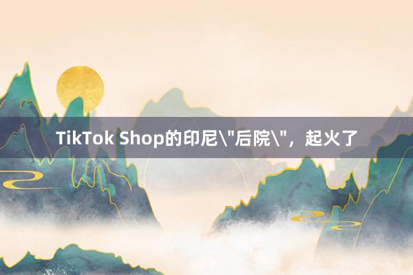 TikTok Shop的印尼＂后院＂，起火了