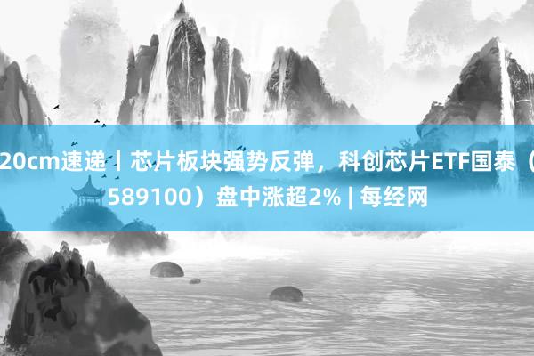 20cm速递丨芯片板块强势反弹，科创芯片ETF国泰（589100）盘中涨超2% | 每经网