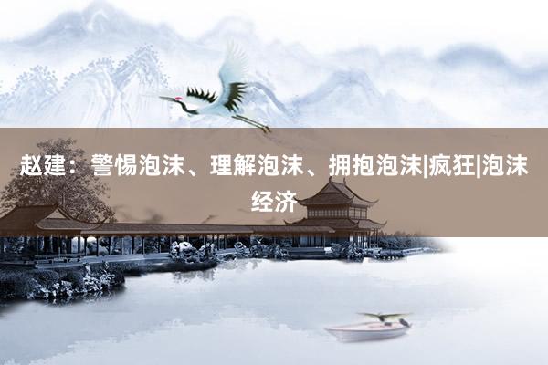 赵建：警惕泡沫、理解泡沫、拥抱泡沫|疯狂|泡沫经济