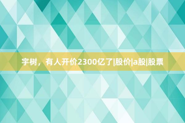 宇树，有人开价2300亿了|股价|a股|股票