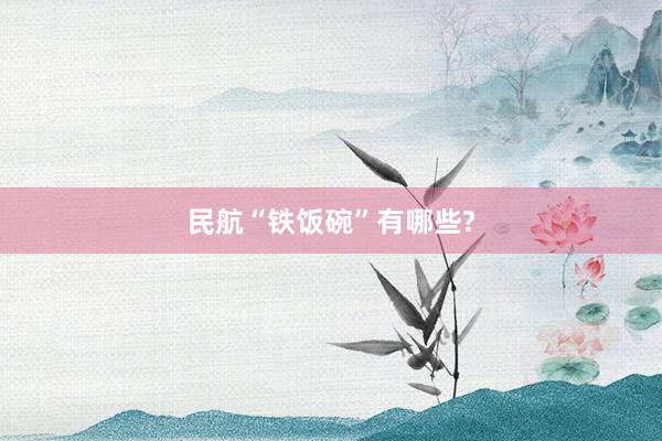民航“铁饭碗”有哪些?