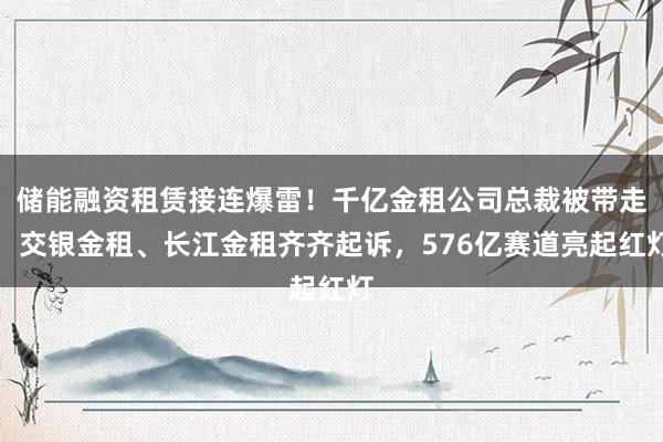 储能融资租赁接连爆雷！千亿金租公司总裁被带走，交银金租、长江金租齐齐起诉，576亿赛道亮起红灯