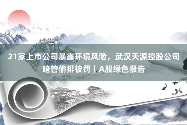 21家上市公司暴露环境风险，武汉天源控股公司暗管偷排被罚｜A股绿色报告
