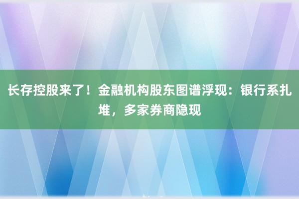 长存控股来了！金融机构股东图谱浮现：银行系扎堆，多家券商隐现