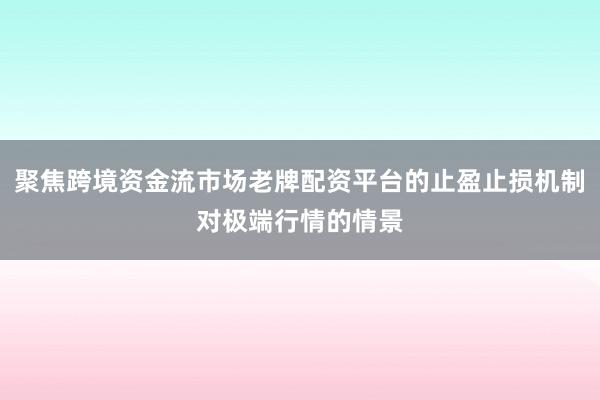 聚焦跨境资金流市场老牌配资平台的止盈止损机制对极端行情的情景