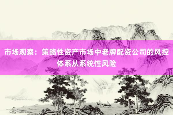 市场观察：策略性资产市场中老牌配资公司的风控体系从系统性风险