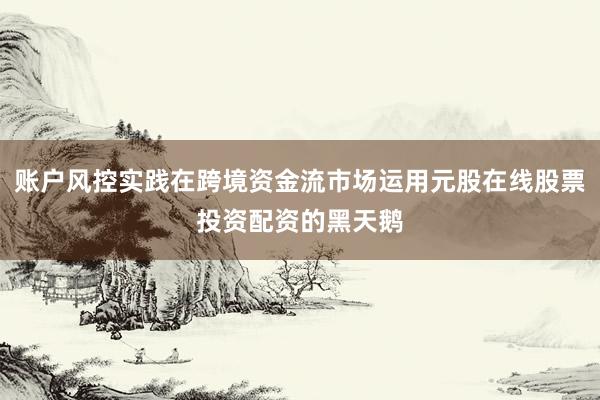 账户风控实践在跨境资金流市场运用元股在线股票投资配资的黑天鹅