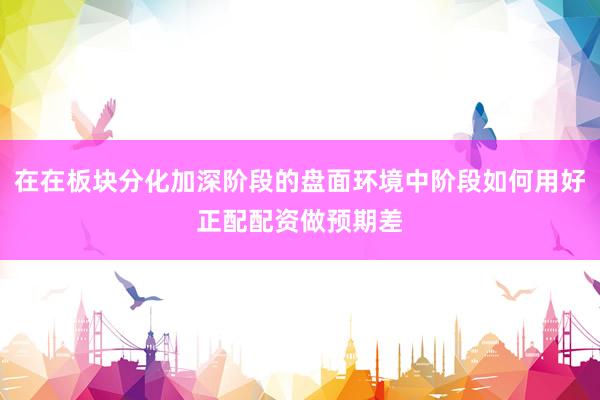 在在板块分化加深阶段的盘面环境中阶段如何用好正配配资做预期差