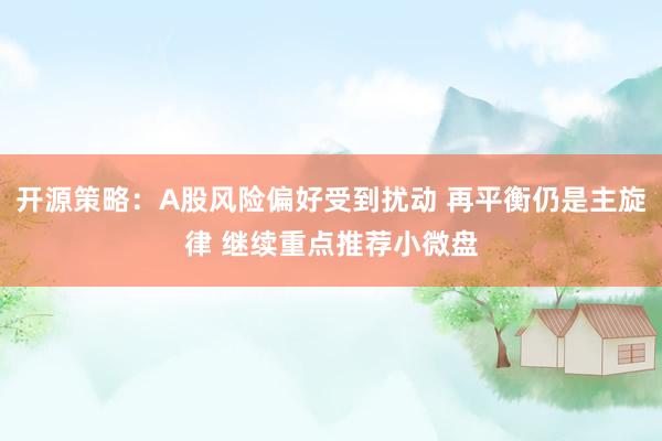 开源策略：A股风险偏好受到扰动 再平衡仍是主旋律 继续重点推荐小微盘