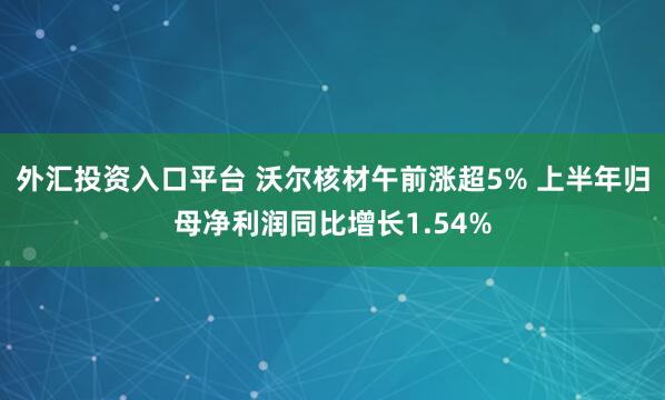 外汇投资入口平台 沃尔核材午前涨超5% 上半年归母净利润同比增长1.54%