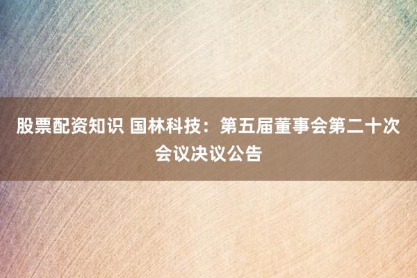 股票配资知识 国林科技：第五届董事会第二十次会议决议公告