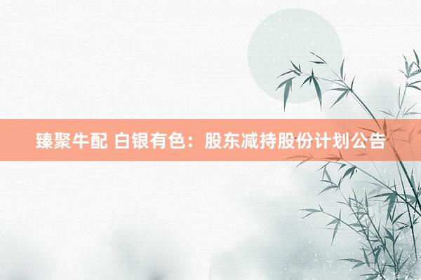 臻聚牛配 白银有色：股东减持股份计划公告