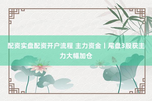 配资实盘配资开户流程 主力资金丨尾盘3股获主力大幅加仓