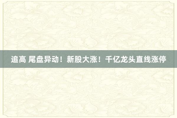 追高 尾盘异动！新股大涨！千亿龙头直线涨停