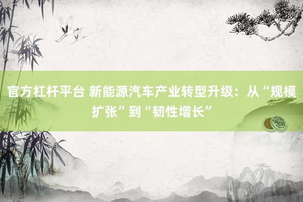 官方杠杆平台 新能源汽车产业转型升级：从“规模扩张”到“韧性增长”