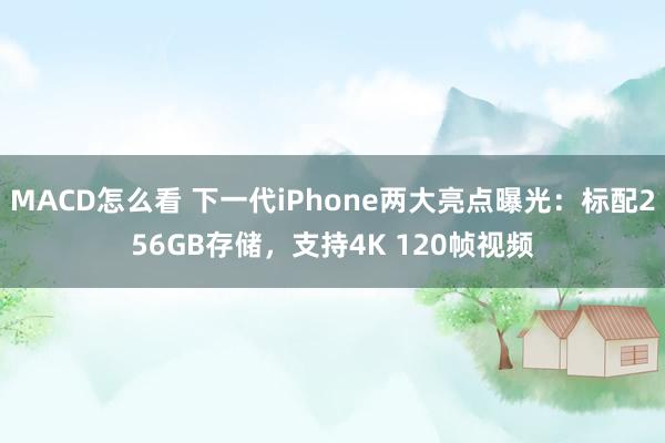 MACD怎么看 下一代iPhone两大亮点曝光：标配256GB存储，支持4K 120帧视频