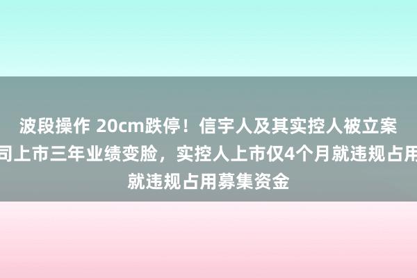波段操作 20cm跌停！信宇人及其实控人被立案背后：公司上市三年业绩变脸，实控人上市仅4个月就违规占用募集资金