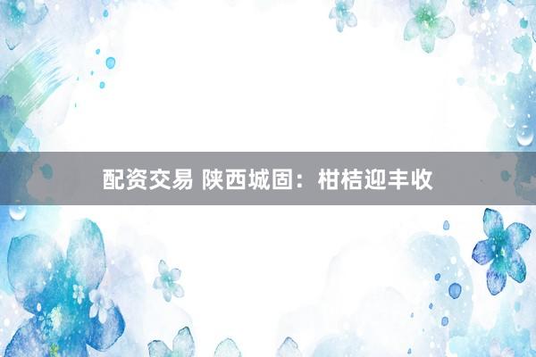配资交易 陕西城固：柑桔迎丰收
